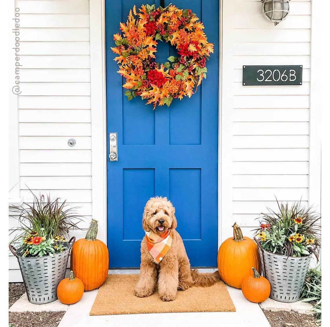 Pumpkin Spice Plaid Flannel Dog Bandana